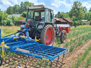 Ein blauer Striegel an einem Traktor steht auf einem Feld mit Zwiebeln, im Hintergrund sind Bäume und bewölkter Himmel zu sehen.