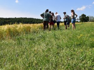 Kleine Personengruppe auf einer Wiese neben einem Linsenfeld, im Hintergrund ist Wald, der Himmel ist blau