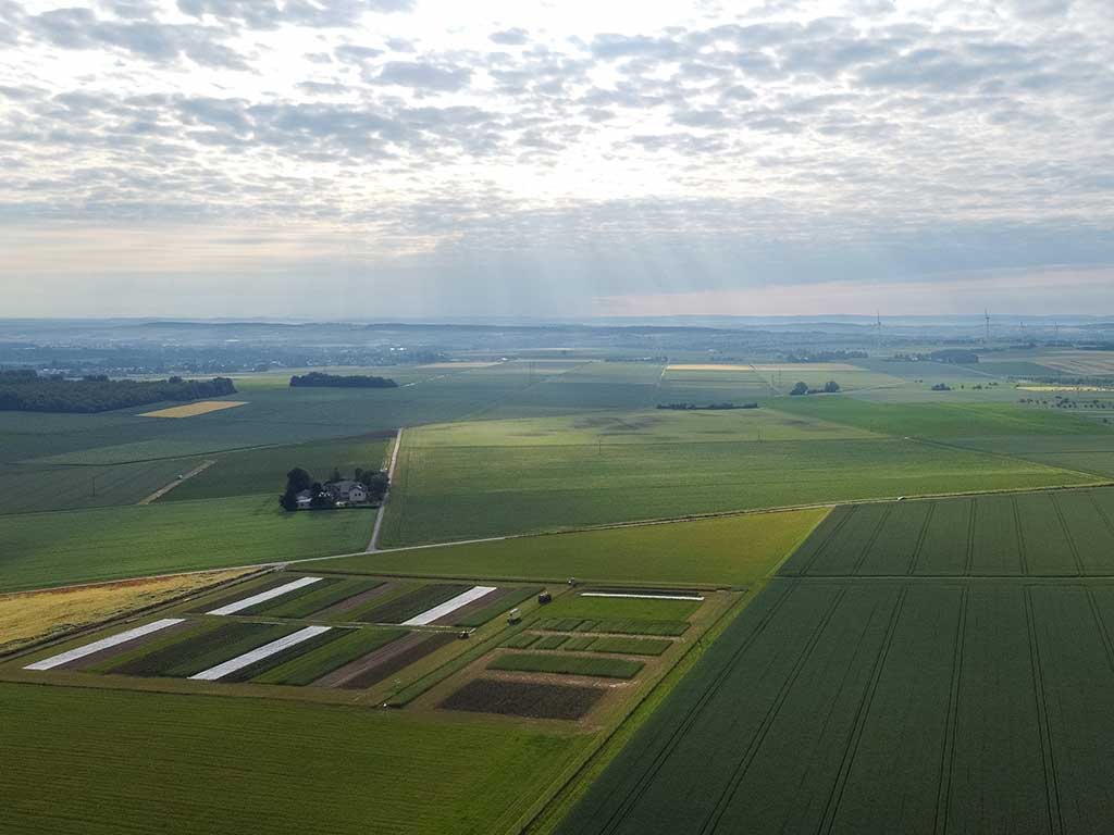 Abb. 2: Drohnenaufnahme des Öko-Versuchsfeldes in Ober-Erlenbach