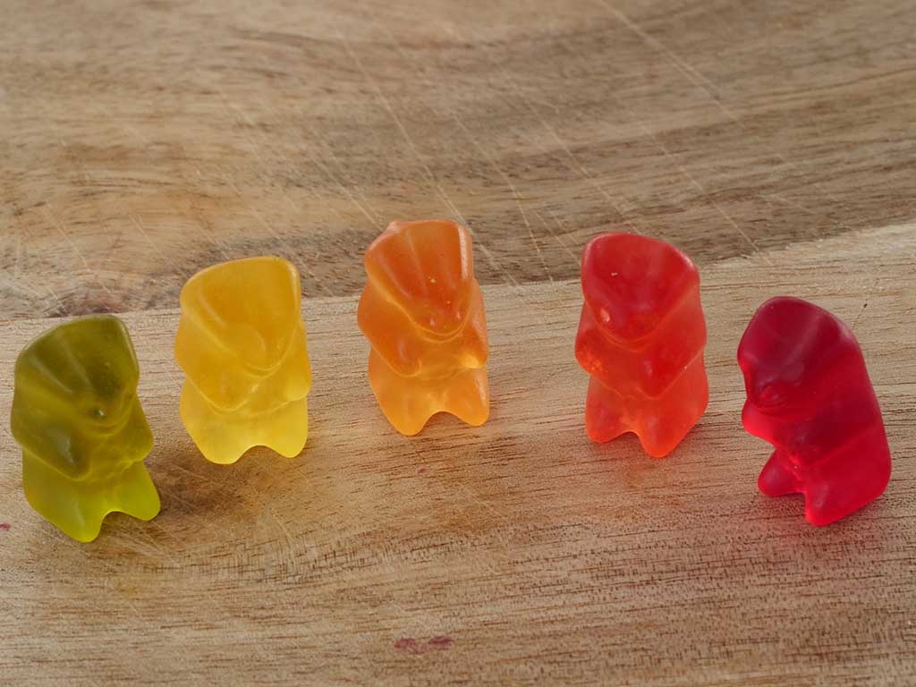 Auf dem Foto sind grüne, gelbe, orangfarbene und rote Gummibärchen zu sehen, die die wichtigsten Blattfarbstoffgruppen Chlorophylle, Xanthophylle, Carotine und Anthocyane darstellen sollen.
