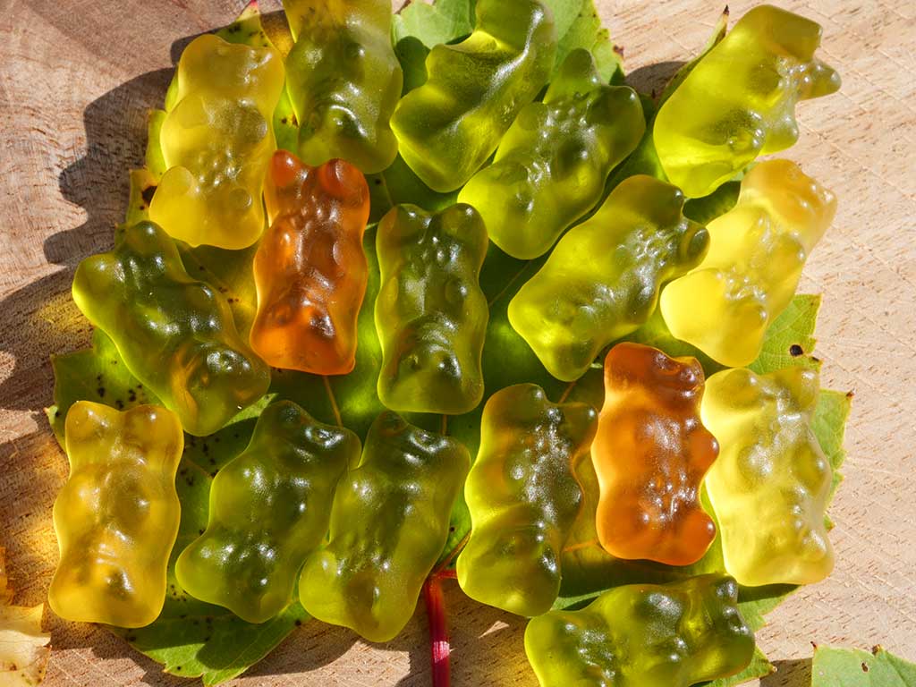 Auf dem Foto sieht man in Form von Gummibärchen ein grünes Blatt mit vielen „Chloris“ und wenigen „Xanthos“ und „Carottis“. Dem Betrachter erscheint das Blatt insgesamt grün, obwohl auch gelbe und orangefarbene Farbstoffe enthalten sind.