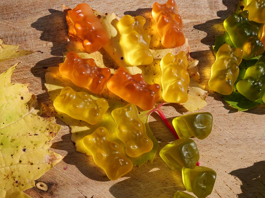 : Auf dem Foto sieht man in Form von Gummibärchen, wie die grünen „Chloris“ aus dem Blatt gezogen werden. Dann werden die noch verbleibenden Farbstoffe, die gelben „Xanthos“ und die orangefarbenen „Carottis“ sichtbar. Das Blatt erscheint also im Herbst gelb bis orange.