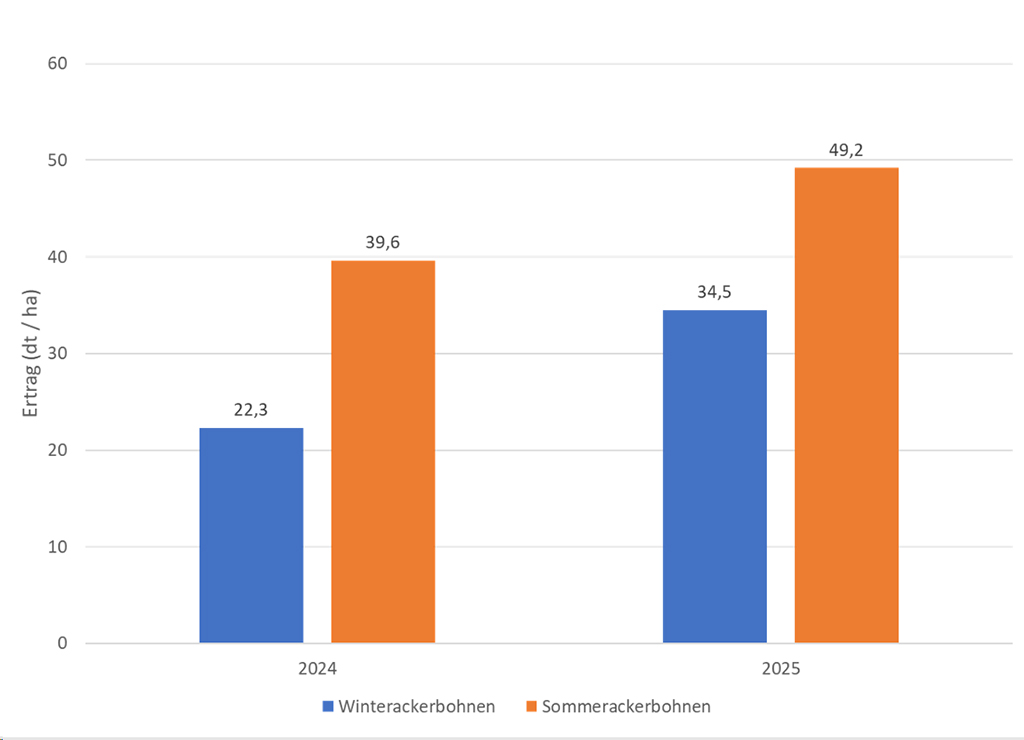Abb. 1: Ertrag im Versuchsdurchschnitt (dt/ha), Sortenversuch Öko-Winter- und Sommerackerbohne 2024 und 2025 am Standort Alsfeld-Liederbach