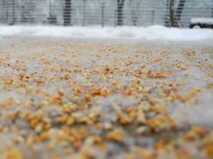 ausgestreutes Maisgranulat auf einer verschneiten Fläche