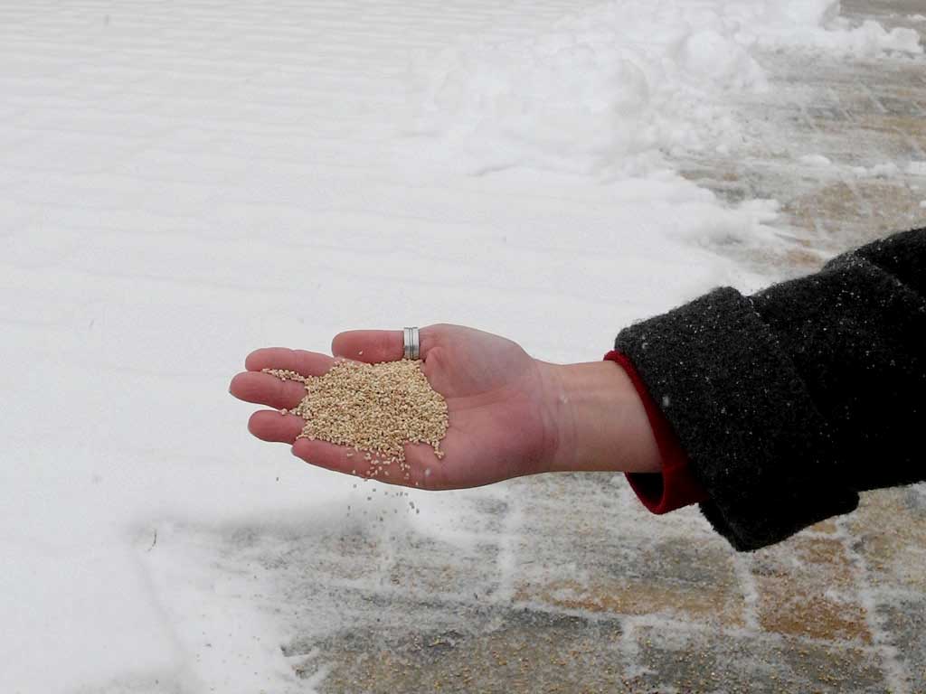ein Hand mit Maisspindelgranulat vor einer verschneiten Fläche