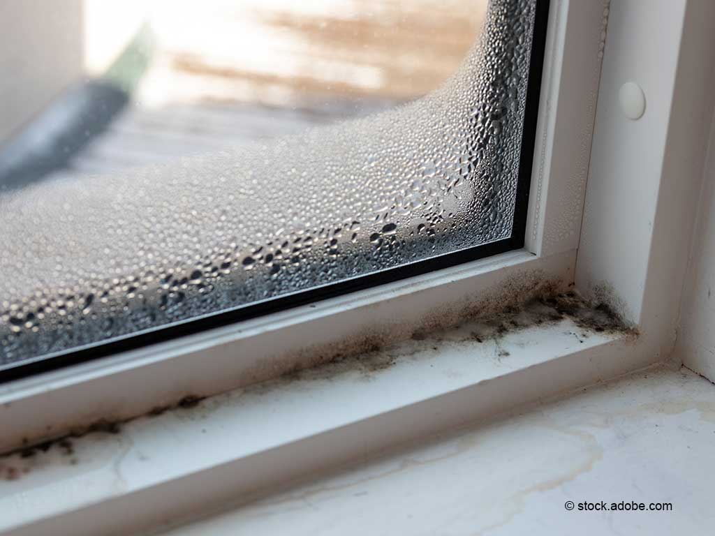 Fenster mit Schimmelbildung am Rahmen