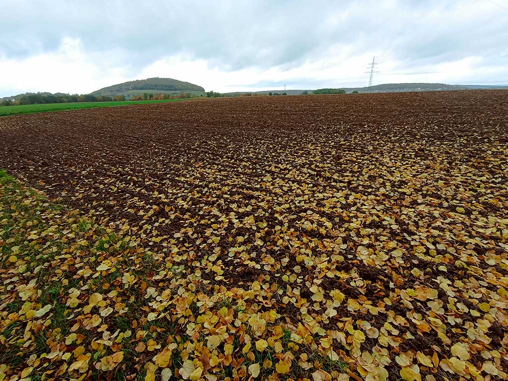 Herbstlaub liegt auf landwirtschaftlicher Fläche; im Hintergrund bergige Hügel