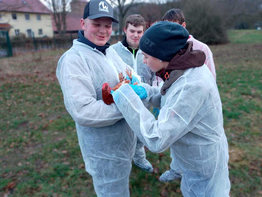 Vier Auszubildene mit weißen Overalls stehen im Freien. Ein Auszubildender hält eine braune Legehenne im Arm, bei der eine Auszubildende das Federkleid untersucht.