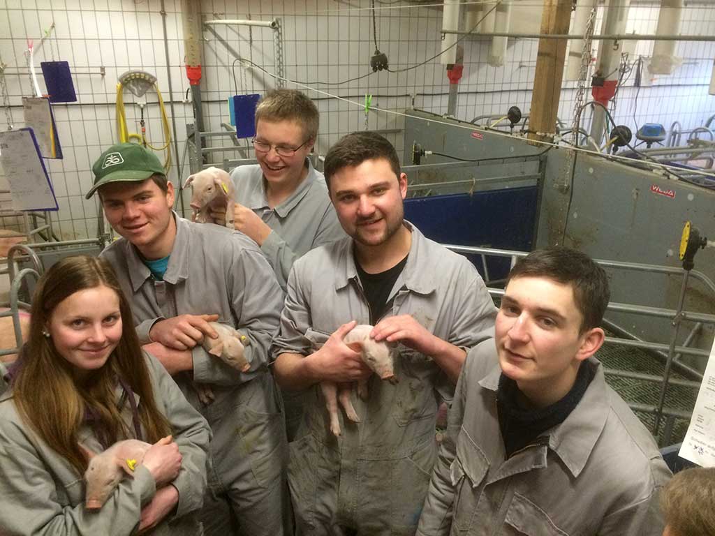 Fünf Auszubildende stehen in einem Abferkelstall. Drei von ihnen halten neugeborene Ferkel auf dem Arm.