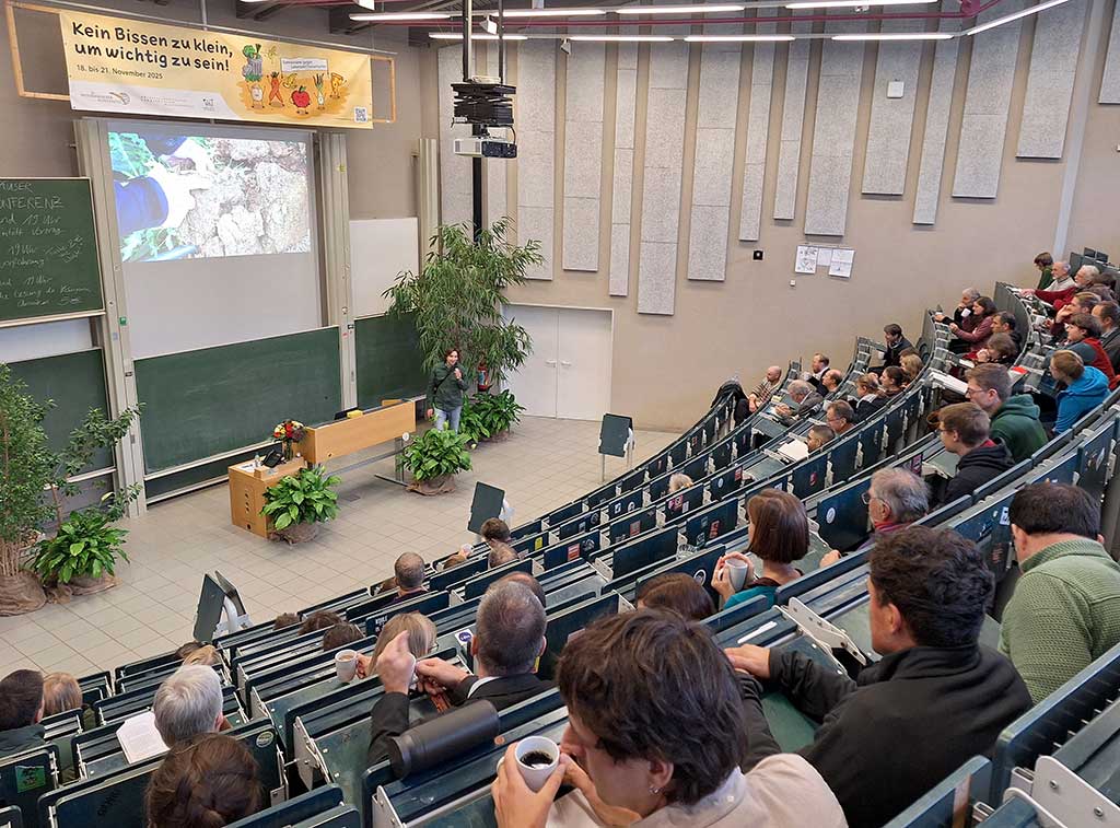 Blick in einen Veranstaltungssaal: Besucher sitzen in Stuhlreihen und schauen auf ein Rednerpult und eine Präsentationswand