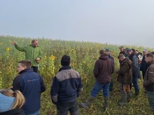 eine Personengruppe steht an einem Feld mit Zwischenfrüchten, man sieht vereinzelt blühende Sonnenblumen