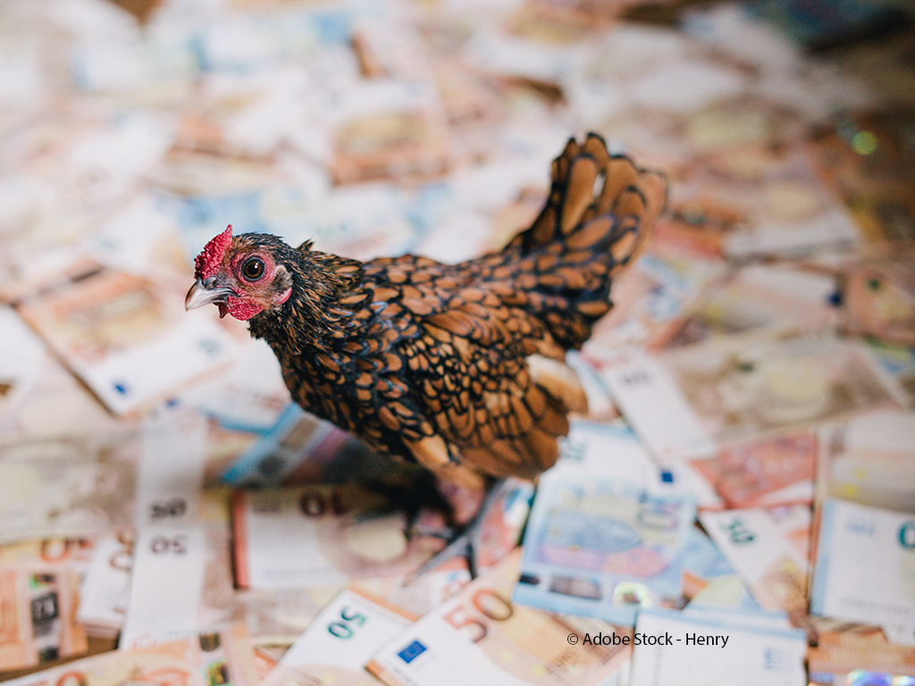 Kücken auf Geld