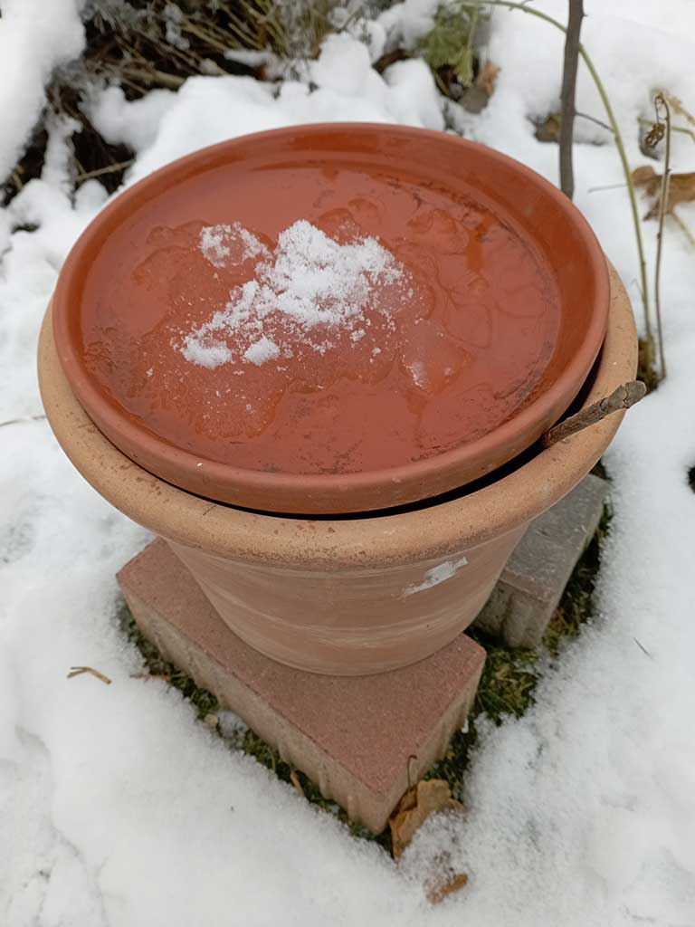 Vogeltränke im Winter: Frostschutz durch untergelegte Pflastersteine und ausreichende Luftzufuhr durch eingeklemmtes Stöckchen