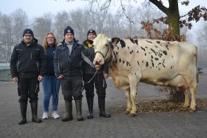 Vier glückliche Menschen stehen vor einer nebligen Waldkulisse. Eine Person hält eine weiße Kuh am Führstrick.