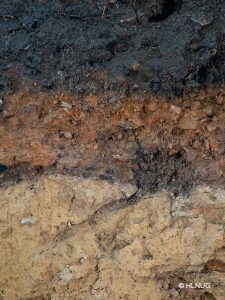Es ist ein Bodenprofil mit drei Horizonten zu sehen. Der obere Horizont ist schwarz, der mittlere rötlich-braun und der untere, welcher am größten ist, ist gelb-braun. In den Horizonten sind Steine, teils Wurzeln und die Profiloberfläche ist sehr uneben. © HLNUG