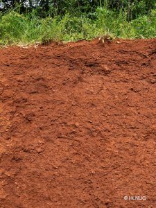Es ist ein Bodenprofil zu sehen, was sehr einheitlich aussieht und rot gefärbt ist. Auf der Bodenoberfläche wachsen Gräser. Es sind keine Horizonte in dem Bodenprofil zu erkennen, nur der Oberboden sieht leicht dunkler aus. © HLNUG