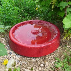 Das Foto zeigt eine rote Insekten- und Kleintiertränke in einem Garten.