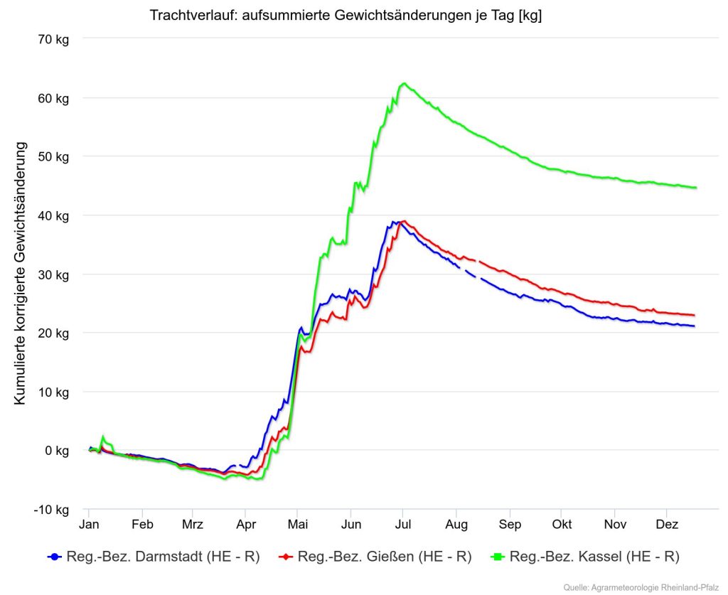 Das Diagramm zeigt den Trachtverlauf im Jahr 2025 für die drei Regierungsbezirke in Hessen. Der Eintrag von Nektar begann etwa Mitte April und dauert bis Anfang Juli.