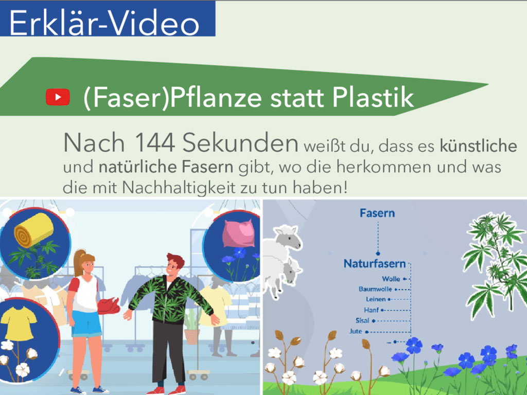 Grafik: Erklär-Video Faserpflanze