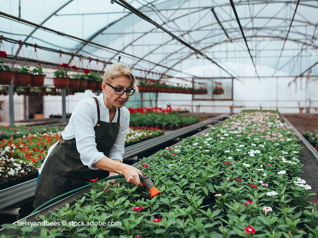 Gärtnerin beim Bewässern von Topfblumen in einem Gewächshaus; cherryandbees © stock.adobe.com