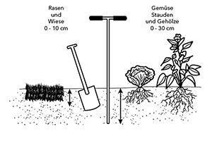 Schematische Darstellung der Bodenprobenentnahme.