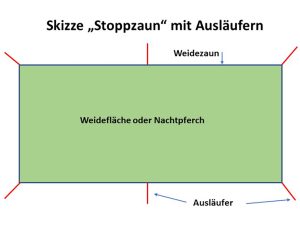 Skizze einer Weidefläche