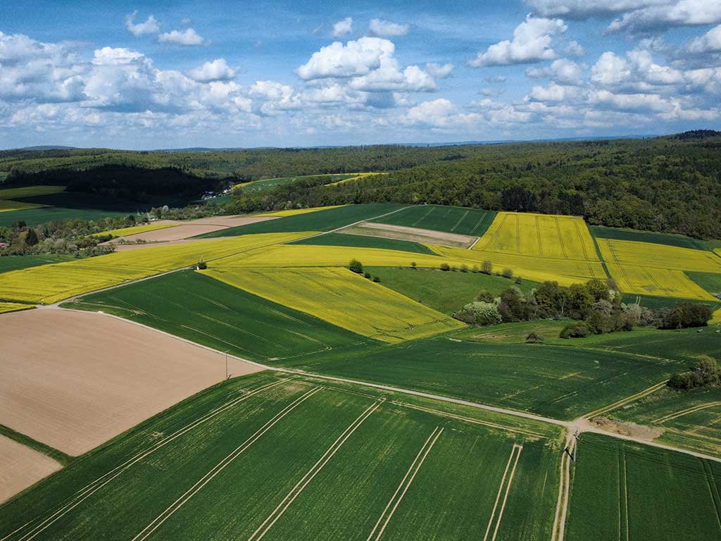 Drohenfoto: Blick auf landwirtschaftliche Flächen im Frühjahr; einige blühende Rapsfelder; im Hintergrund Wald und blauer Himmel mit Wolken