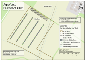 Schematische Darstellung des Agroforstsystems. Zu sehen sind Linien und Punkte auf einer Hintergrund-Karte.