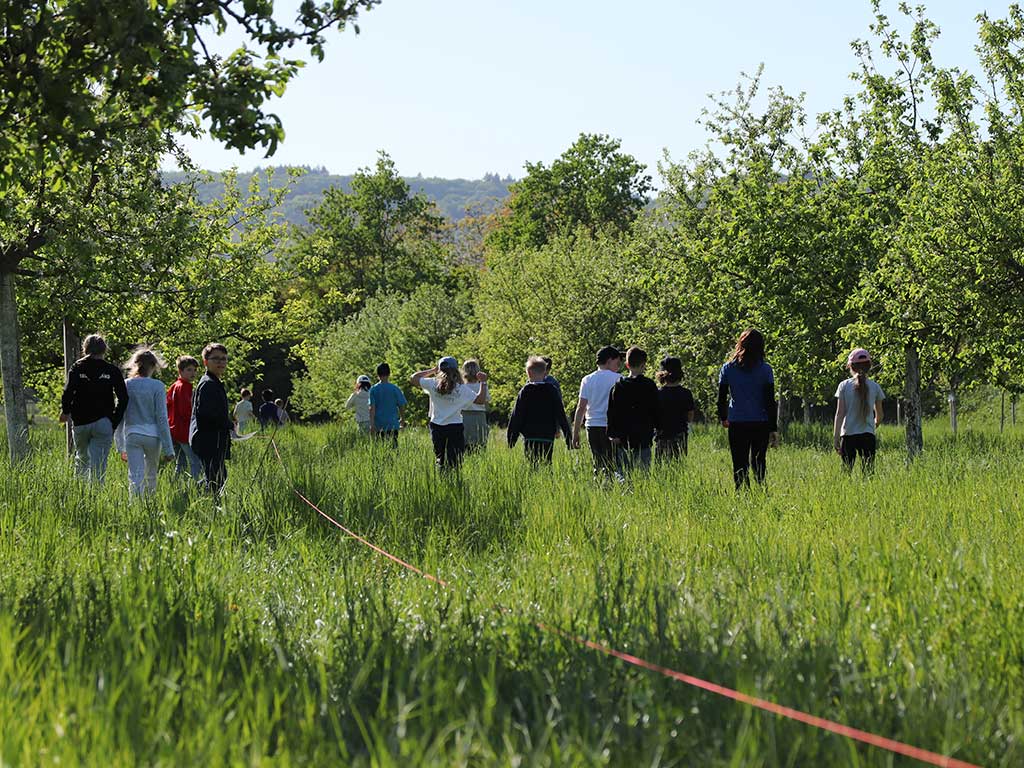 Eine Kindergruppe läuft zwischen den Obstbäumen an einer langen Schnur entlang und sieht sich dabei die Wiese an.