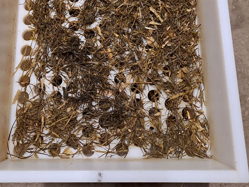 Schüttelbox für die Rinderfütterung