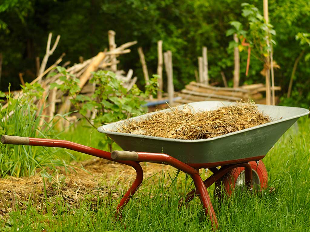Das Foto zeigt eine mit Strohmulch gefüllte Schubkarre in einem Naturgarten.