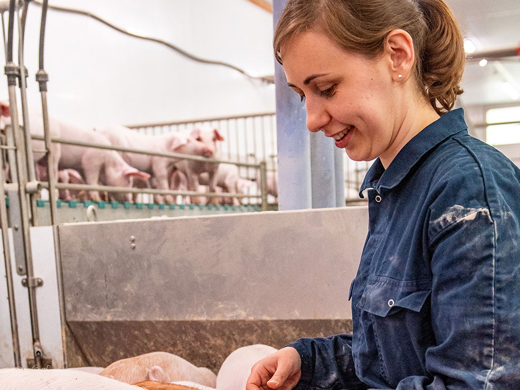 Eine junge Frau hockt zwischen Ferkeln in einem Stall.