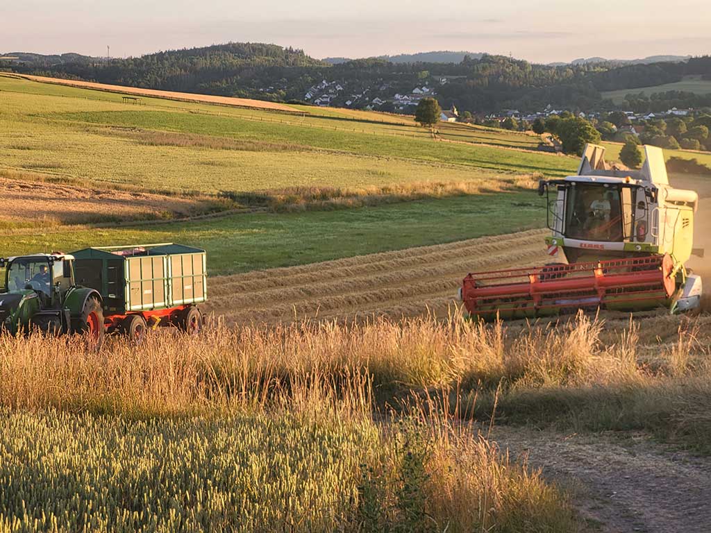 Mähdrescher und Trecker miot Anhänger bei der Gerstenernte auf einem Feld