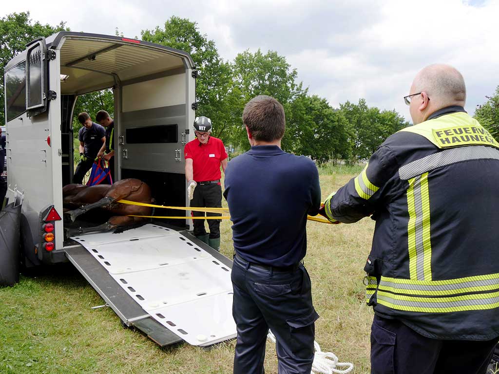 2 Personen ziehen ein Pferdedummy mit Rettungsgurten aus einem Pferdetransportanhänger.