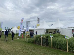 Infostände mit Zelten und Schauparzellen auf den DLG-Feldtagen 2026