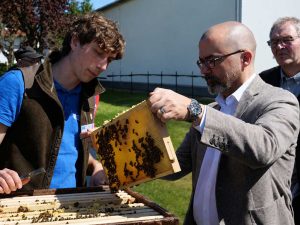 2 Personen (im Vordergrund) mit Bienenwabe
