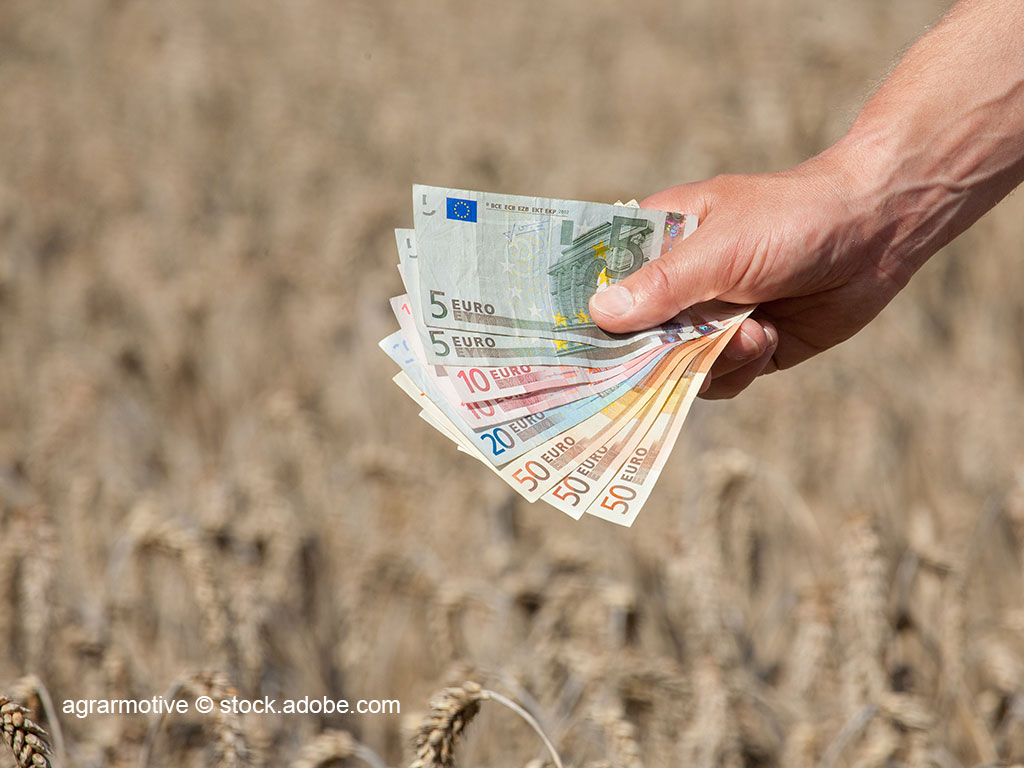 Hand hält mehrere Euro-Geldscheine; im Hintergrund ist ein Getreidefeld zu sehen