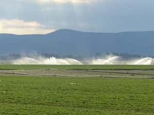 Bewässerung einer Fläche in Aktion, im Hintergrund ist ein Bergrücken zu sehen, der Himmel ist stark bewölkt.