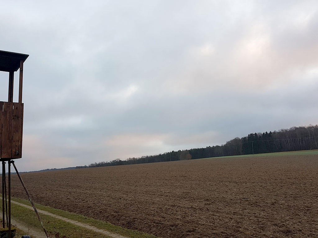 landwirtschaftliche Fläche in Hanglage