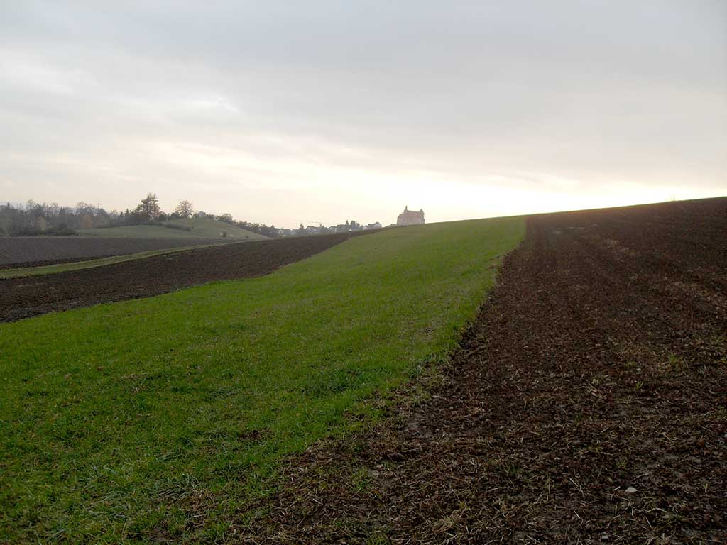 verschiedene landwirtschaftliche Flächen mit Wiesenstreifen in Hanglage