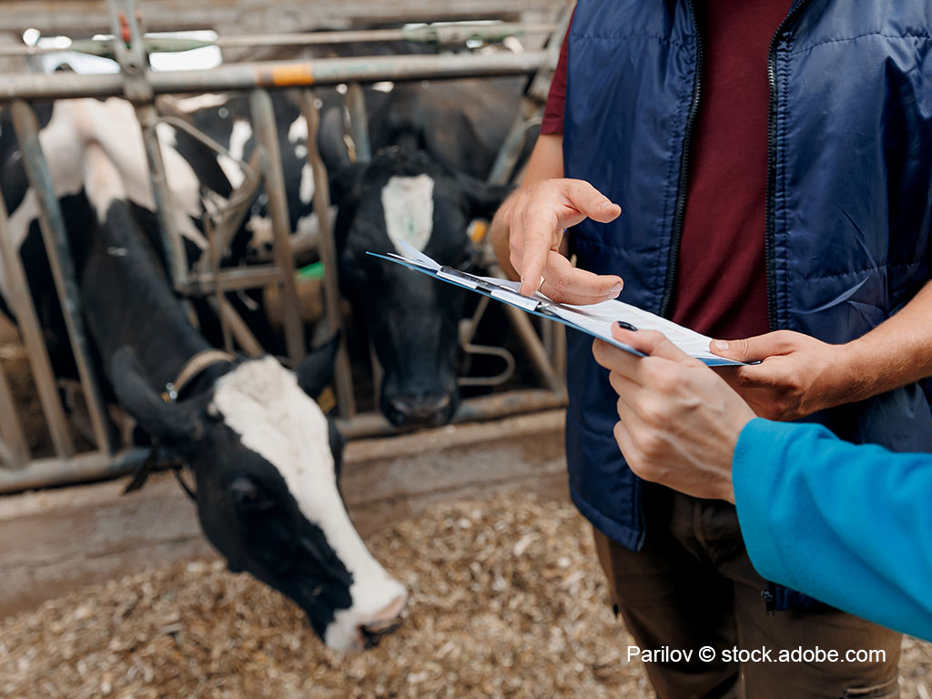 Detailaufnahme: Landwirt und Veterinär im Gespräch in einem Kuhstall