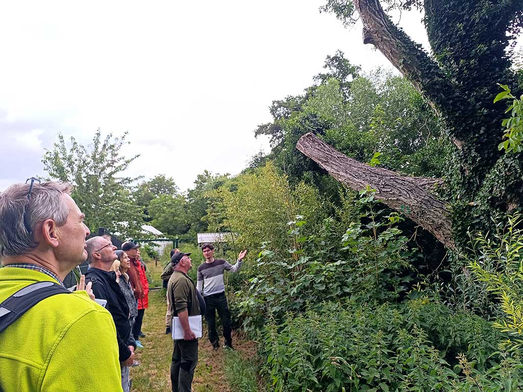 : Felix Engelmann zeigt auf einen großen abgestorbenen Baum in Hanglage, den die Teilnehmer betrachten. Er referiert zur Pflege und Kontrolle der abgestorbenen Bäume.