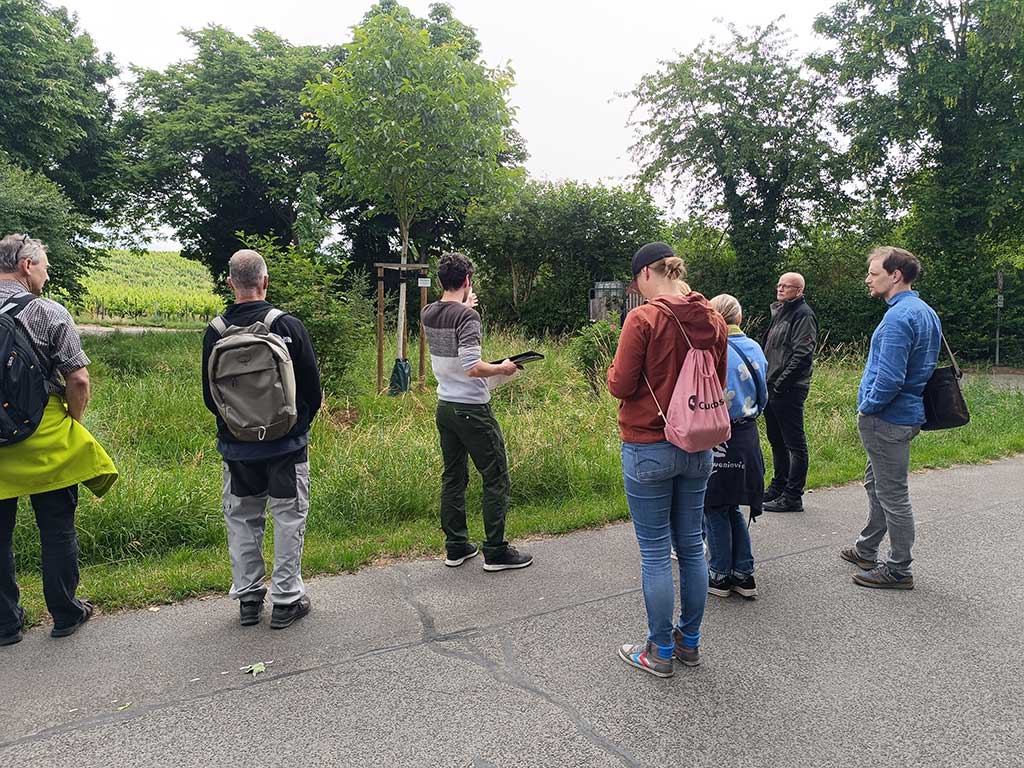 Die Gruppe steht vor einer kommunalen Fläche mit hochgewachsenem Gras und einer Baumneupflanzung, die am geweiselten Stamm und dem Gerüst zu erkennen ist. Im Vordergrund ist der gemähte Sauberkeitsstreifen zu sehen.