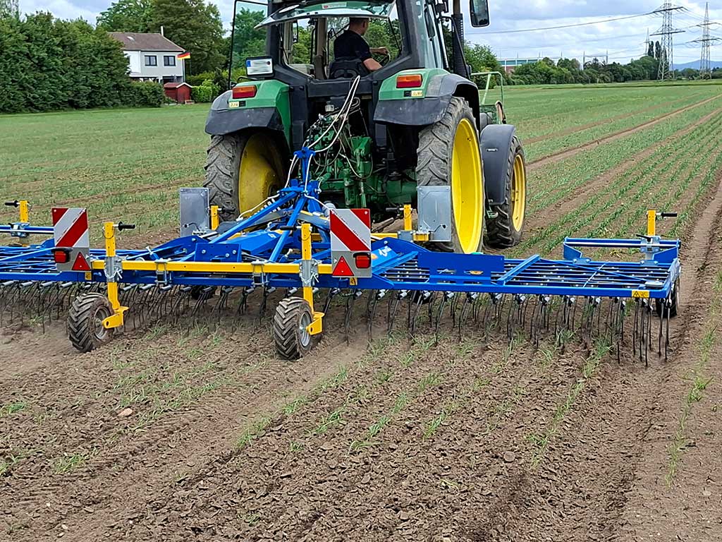 Traktor der über ein Feld mit kleinen Zwiebelpflanzen fährt, die in Reihen stehen. Angehängt ist ein Treffler-Präzisionsstriegl zur mechanischen Unkrautbekämpfung, der durch die Zwiebelreihen fährt. Links sind Büsche und ein Haus zu sehen.