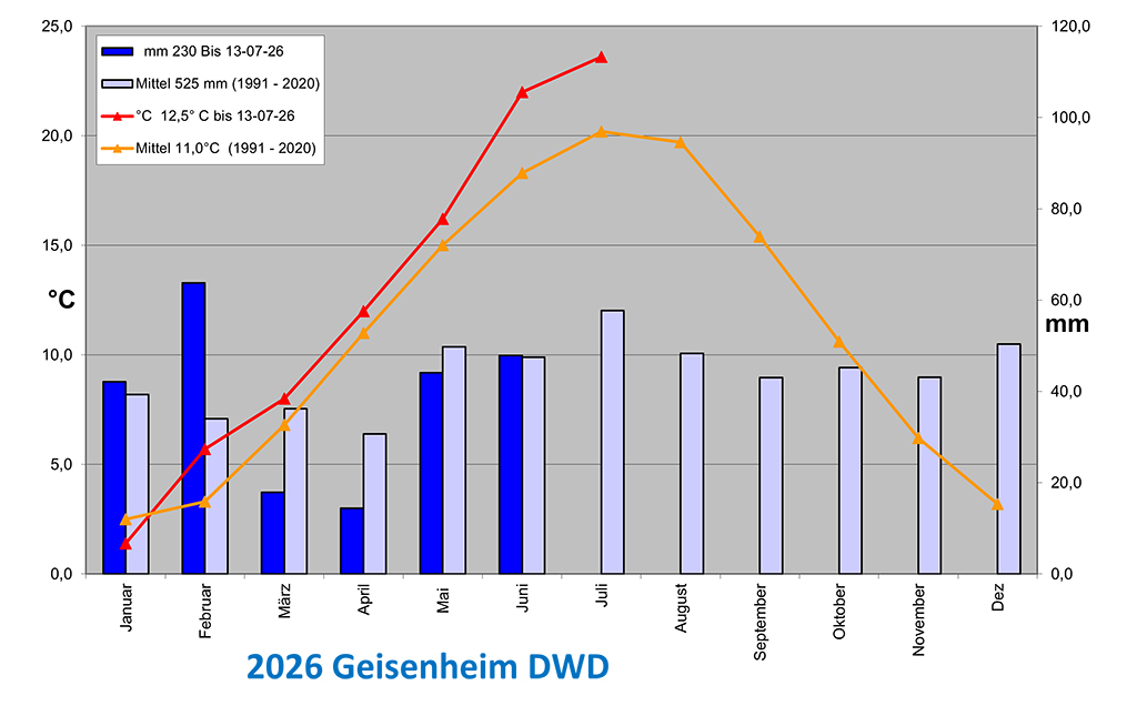 Grafik mit Niederschlag und Temperaturen vom 01.01.-13.07.26 in Geisenheim