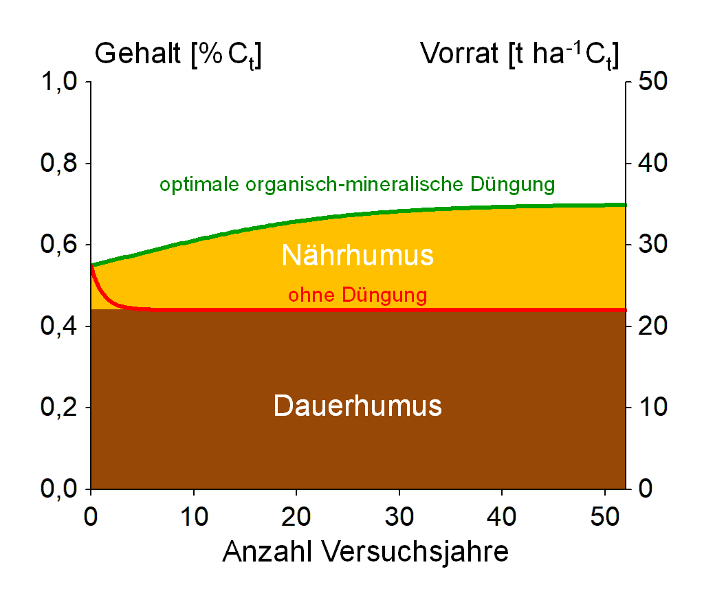 Abb. 1: Entwicklung von Dauer- und Nährhumus in der Ackerkrume eines grundwasserfernen, schwach lehmigen diluvialen Sandbodens (Groß Kreutz/ Brandenburg, 1967-2018)