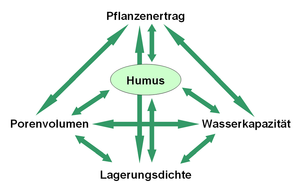 Abb. 2: Einfluss von Humusversorgung und physikalischen Bodeneigenschaften in der Ackerkrume auf den Ertrag (KOLBE & ZIMMER 2015)