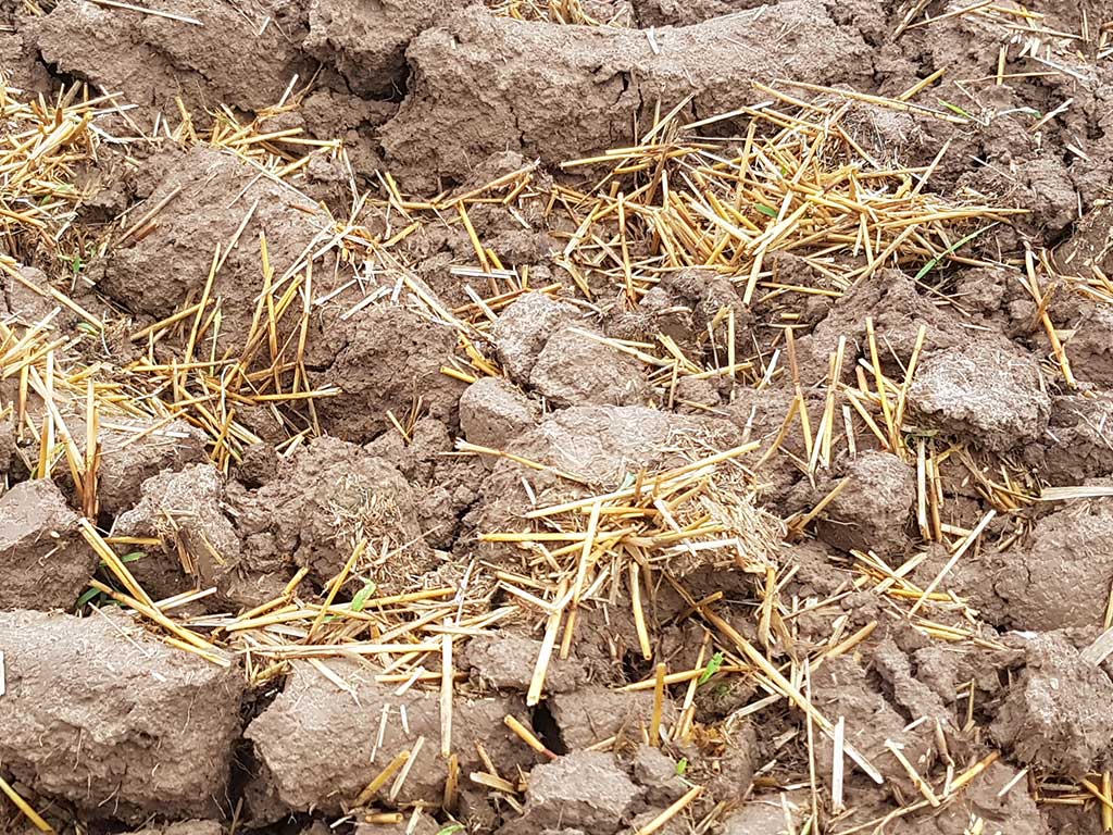 Detailaufnahme einer gepflügten Ackerfläche, in die Stroh eingearbeitet wurde