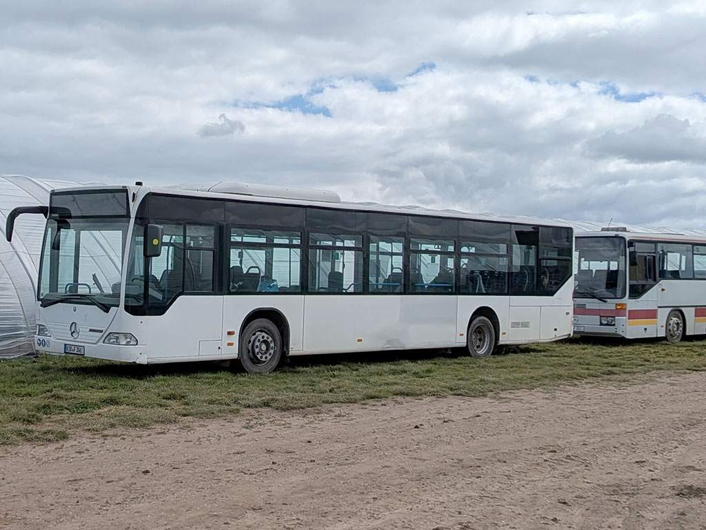 Das Foto zeigt zwei alte Linienbusse, die vor einem Folientunnel stehen. Der vordere Bus ist weiß, der hintere ist ebenfalls weiß, aber auch mit einem braunen, einem rostroten und einem gelben Streifen lackiert. Der Himmel ist mit grauen Wolken bedeckt, nur ein wenig blau schimmert durch die Wolkendecke.