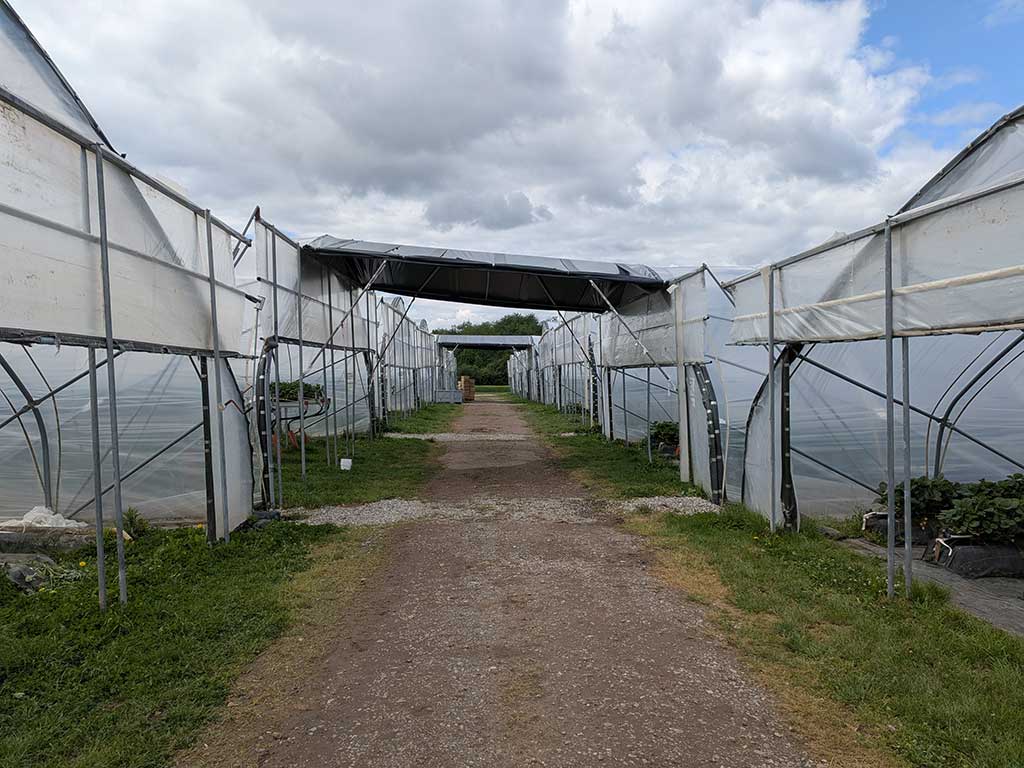 Links und rechts sind die Eingänge zu zahlreichen Folientunneln zu sehen. Zwischen den Tunneln sind zwei Dächer angebracht, eins im Vordergrund und eines deutlich weiter hinten. Der Himmel ist mit grauen Wolken bedeckt.